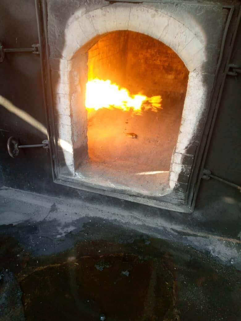 waste to energy